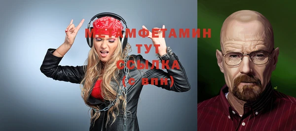 ГАЛЛЮЦИНОГЕННЫЕ ГРИБЫ Дмитриев