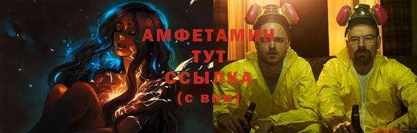 ГАЛЛЮЦИНОГЕННЫЕ ГРИБЫ Дмитриев