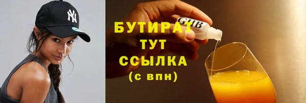 ГАЛЛЮЦИНОГЕННЫЕ ГРИБЫ Дмитриев