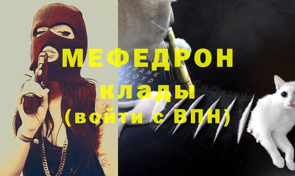 ГАЛЛЮЦИНОГЕННЫЕ ГРИБЫ Дмитриев