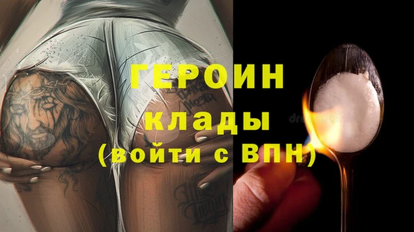 ГАЛЛЮЦИНОГЕННЫЕ ГРИБЫ Дмитриев