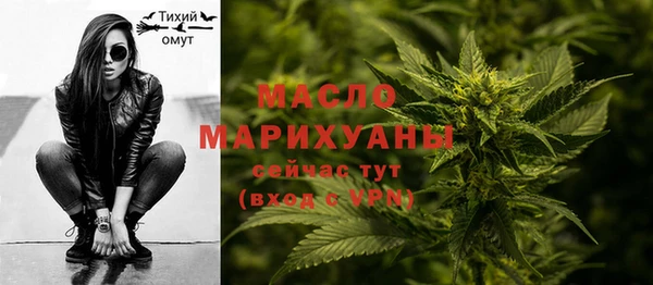 ГАЛЛЮЦИНОГЕННЫЕ ГРИБЫ Дмитриев
