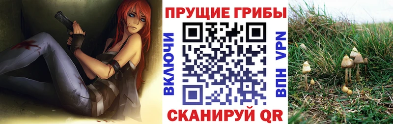 Псилоцибиновые грибы GOLDEN TEACHER  Облучье 